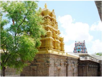 Stop Tampering With Temple Traditions; Tamil  Hindus Not Amused